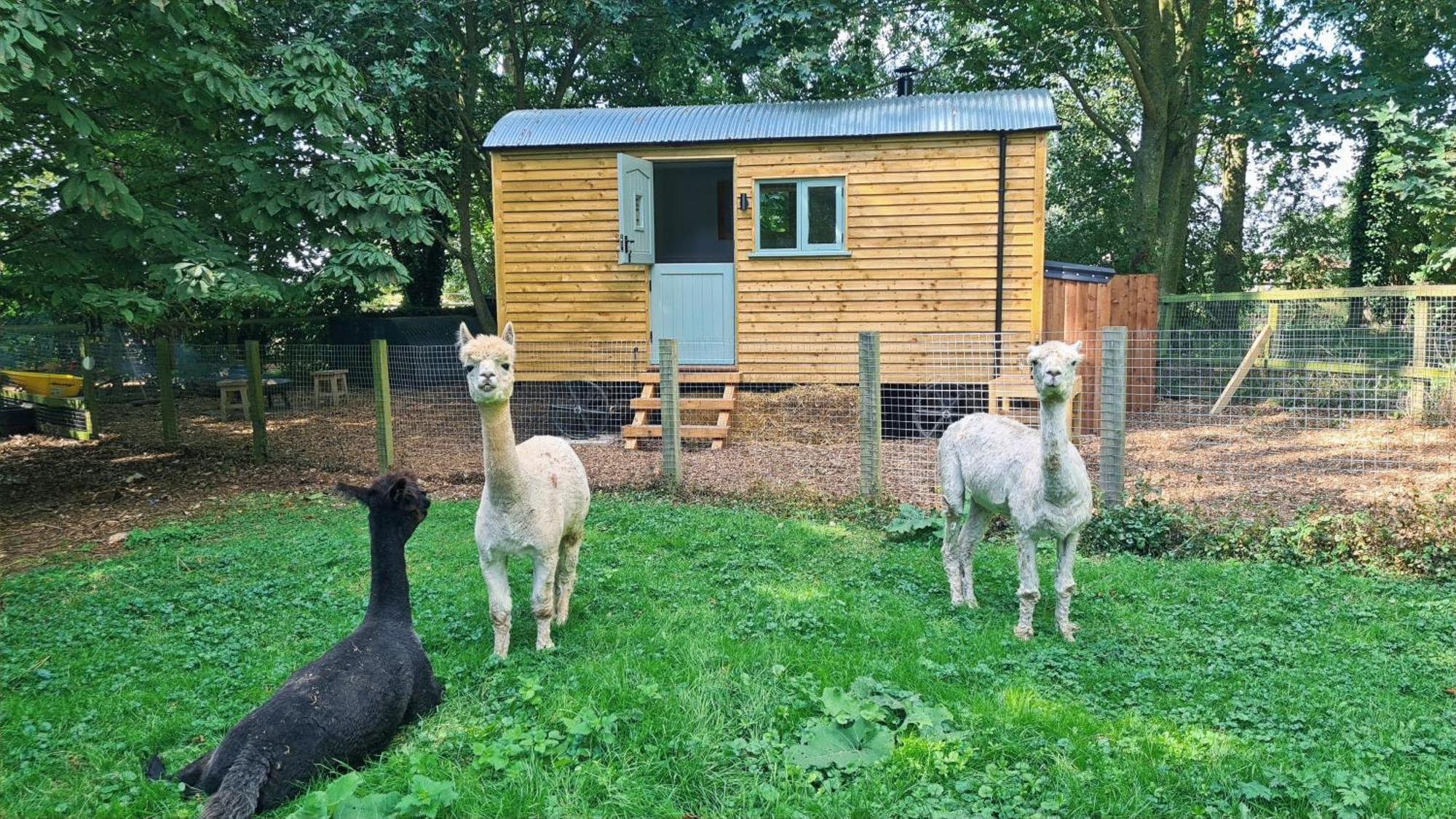 Hotel Horsley Hale Farm Glamping Ely Esterno foto